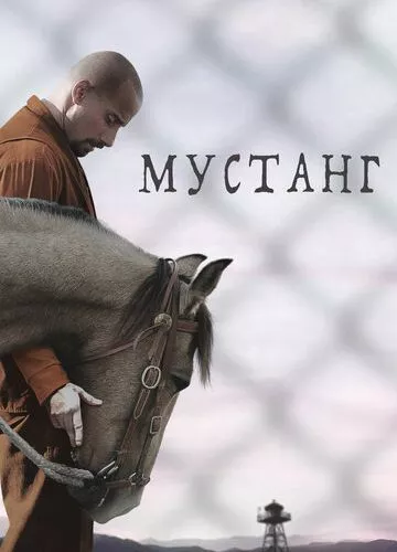 Мустанг (2017)