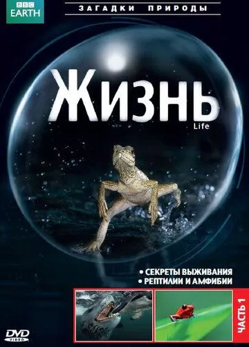 BBC: Життя (2009)