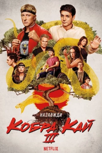 Кобра Кай (2019)