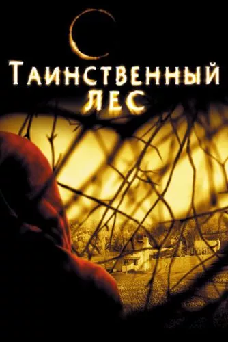 Таємничий ліс (2004)