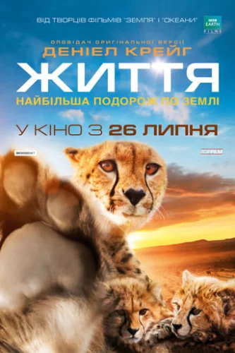 Одне життя (2011)